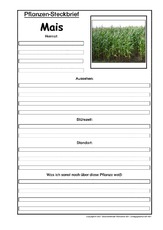Pflanzensteckbrief-Mais.pdf
